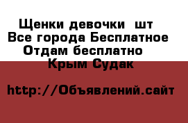 Щенки девочки 4шт - Все города Бесплатное » Отдам бесплатно   . Крым,Судак